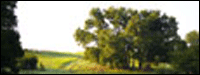 Featured Lots